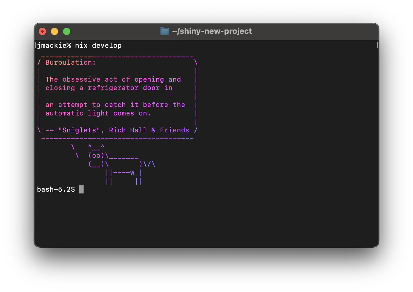 A screenshot of a terminal in which the minimal nix flake is enabled